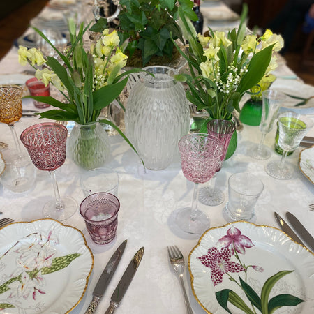 History of Pinto Orchids