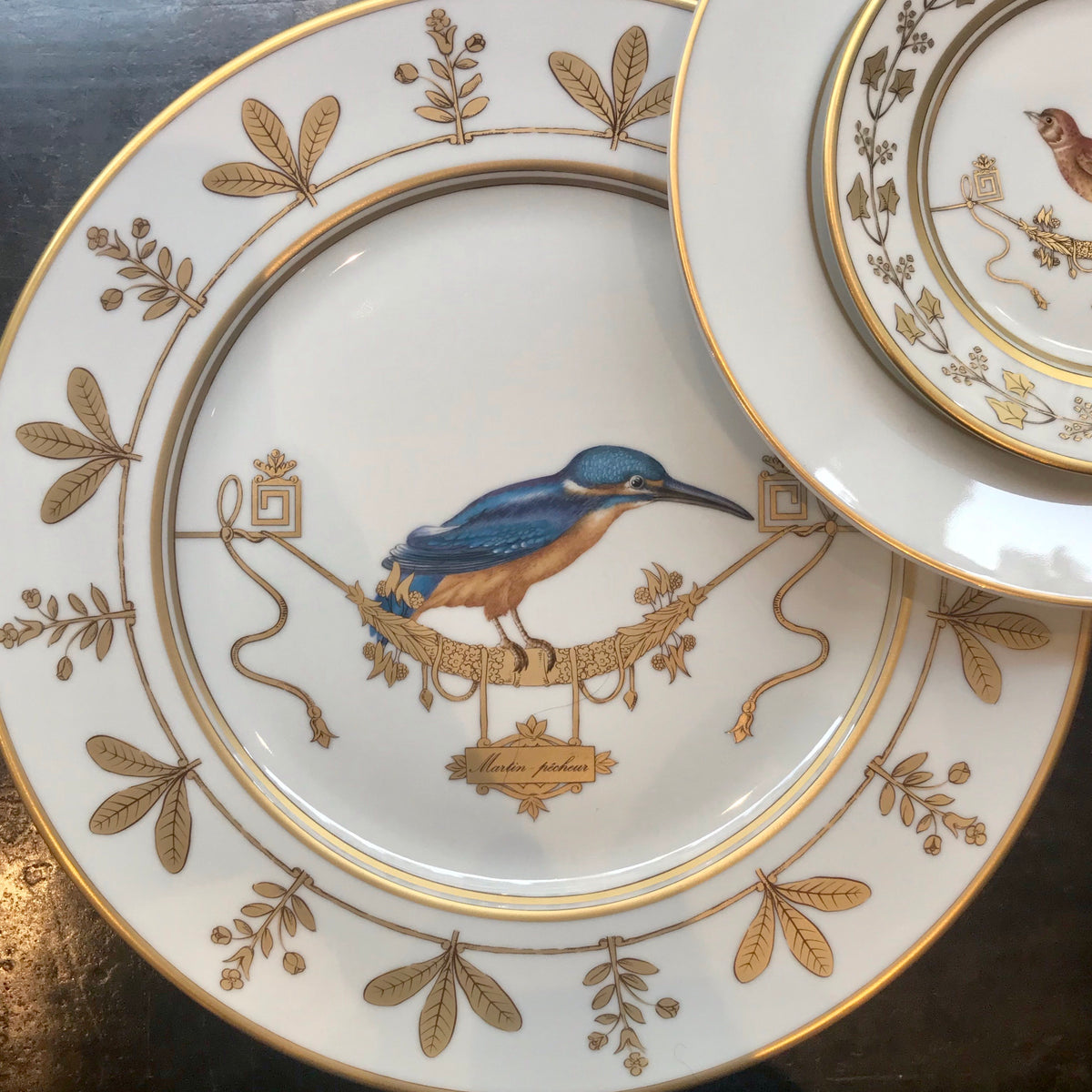 Assiette de Présentation Collection Voliere