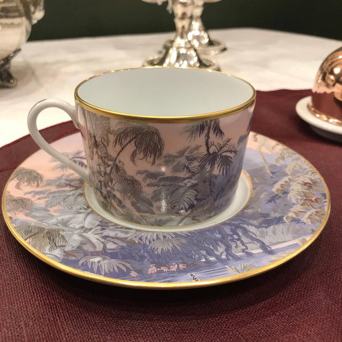 Haviland le Brésil manufacture Zuber The Tasse