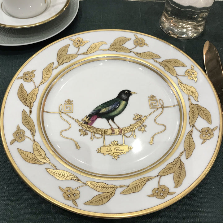 Bird Breakfast