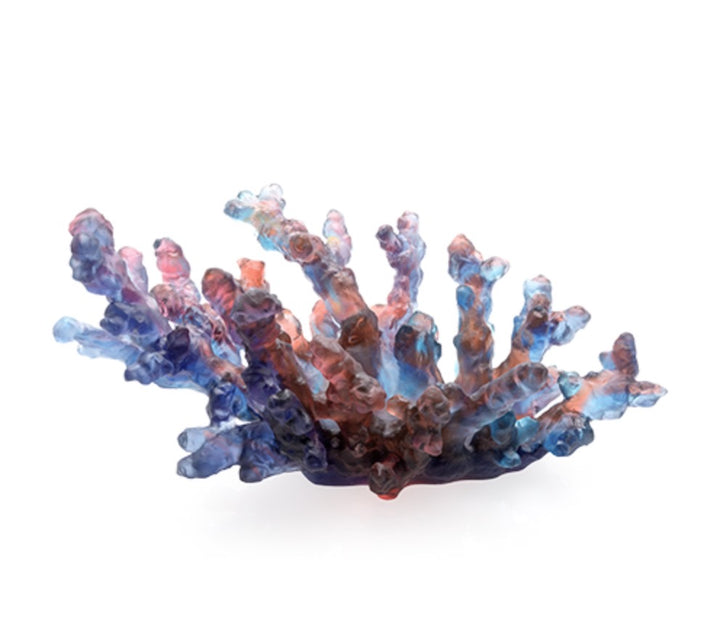 Coupe Corail bleu rouge