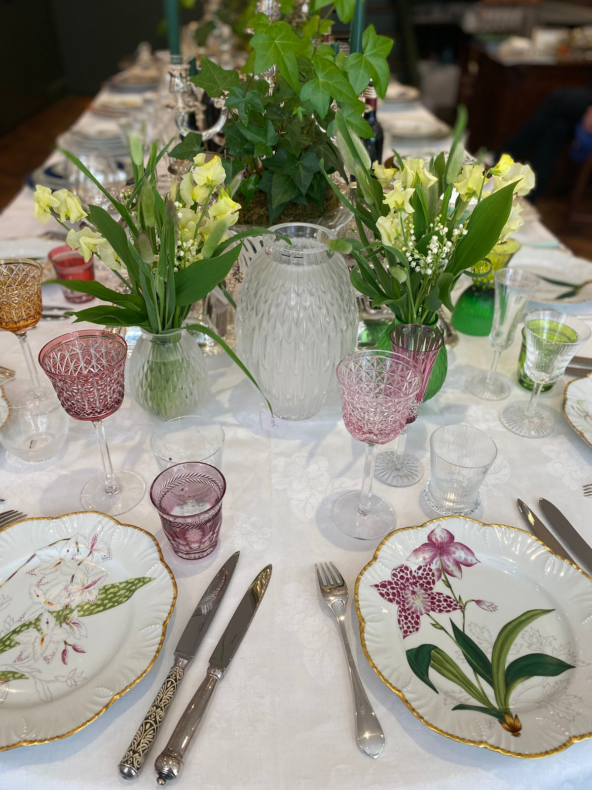 Histoire d’Orchidées Pinto 