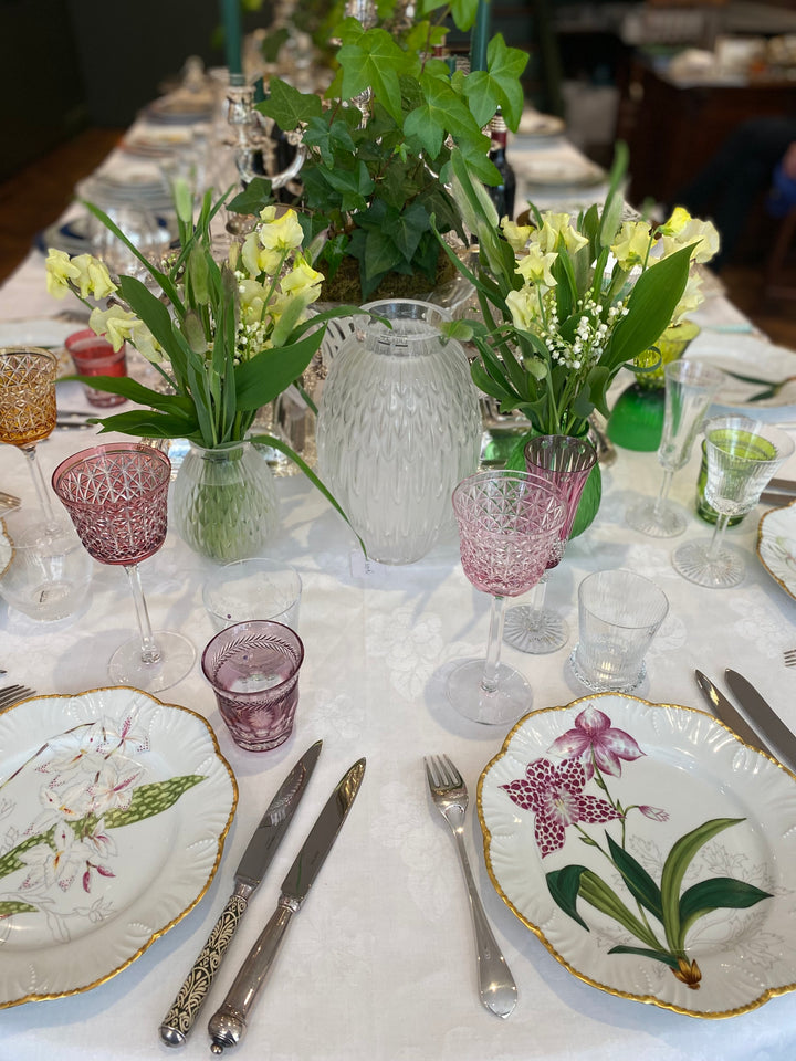 Histoire d’Orchidées Pinto 