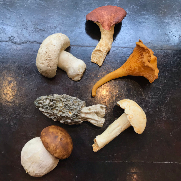Les Porte-Couteaux Champignons couleurs