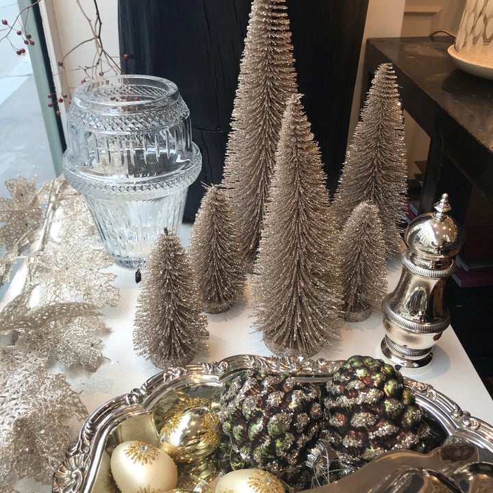 Sapin Champagne très GM